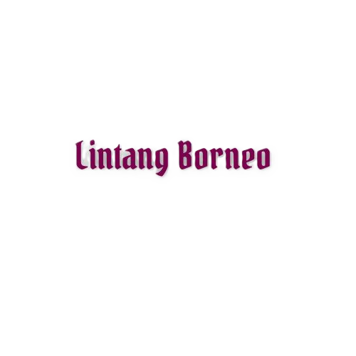Lintang Borneo