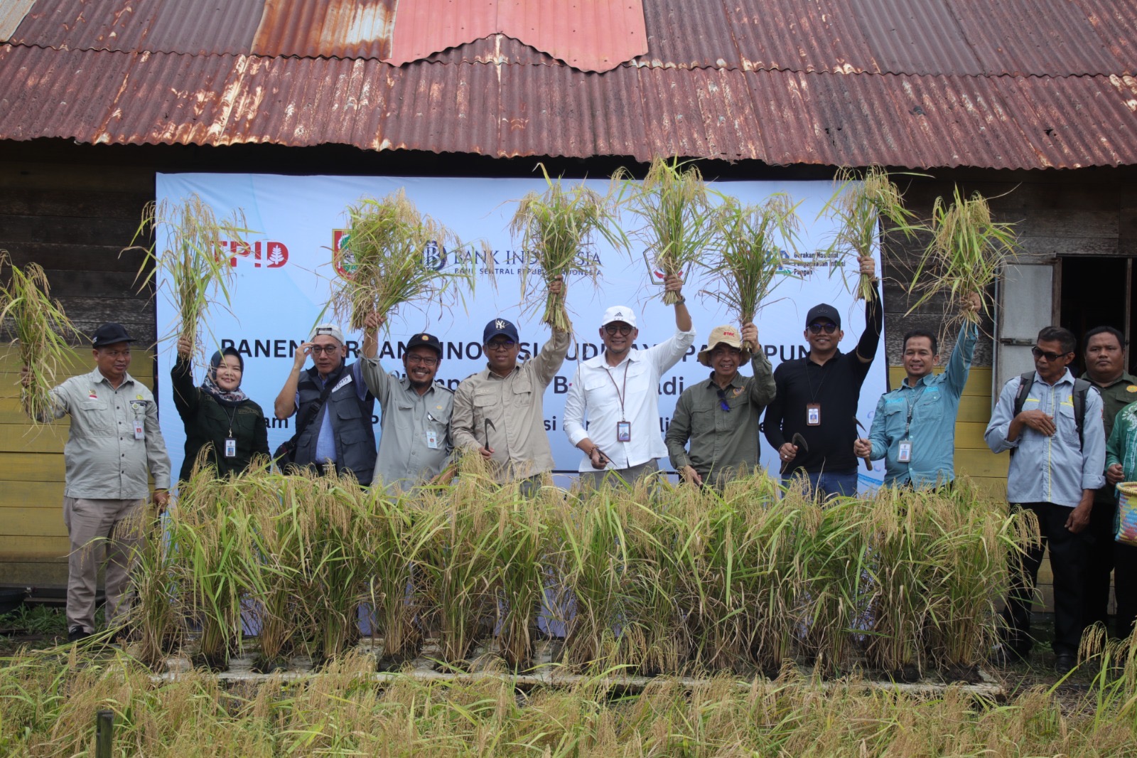 Padi Apung Diharapkan Jadi Model Pengembangan Pertanian di Daerah