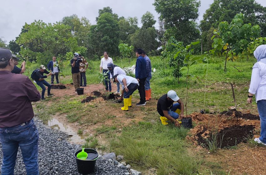  Ketum IKWI Bersama Sekjen Tanam Pohon di Arboretum Ayu Tirta, HPN 2025 di Banjarmasin