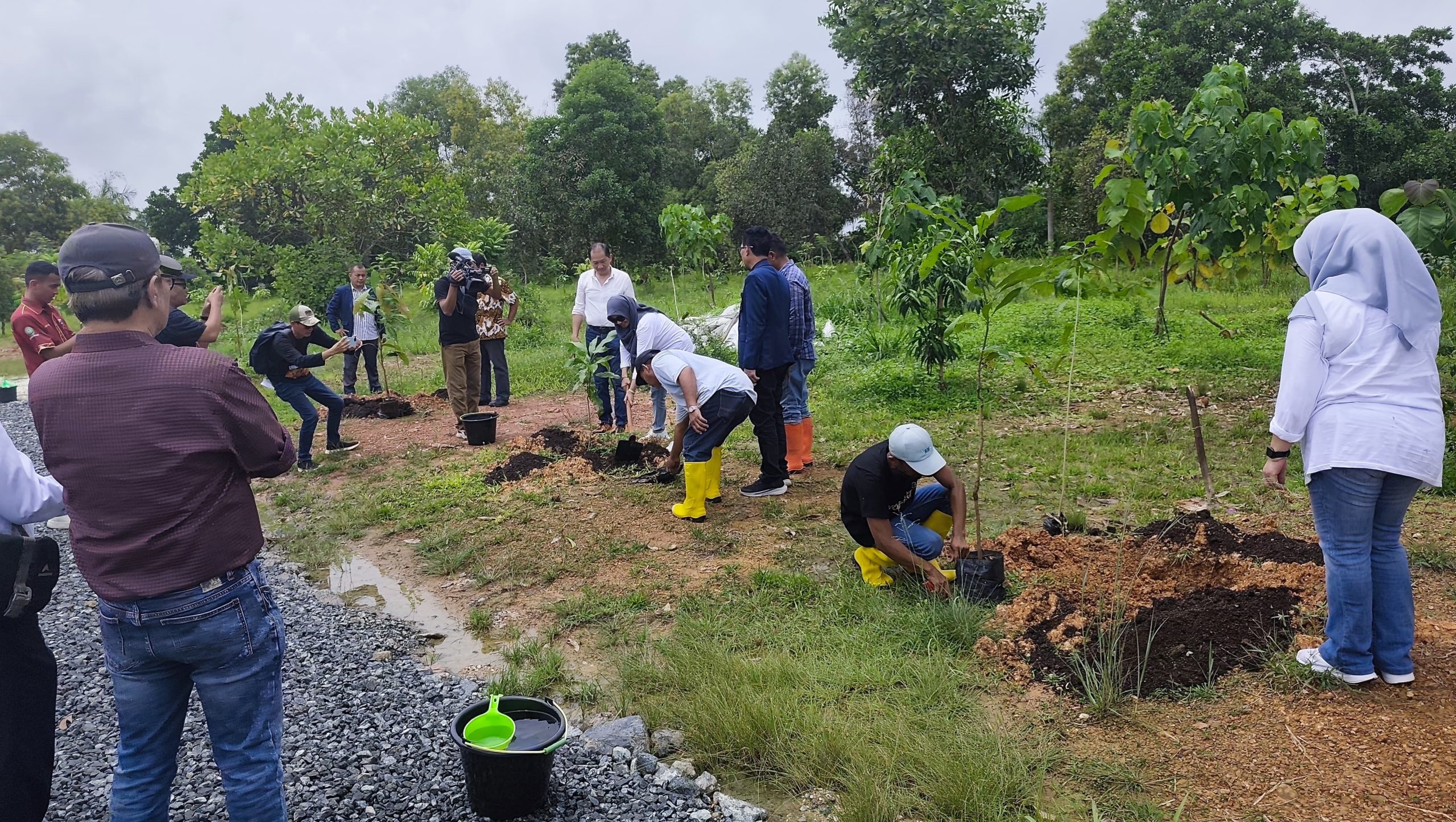 Ketum IKWI Bersama Sekjen Tanam Pohon di Arboretum Ayu Tirta, HPN 2025 di Banjarmasin